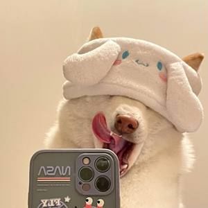 Meet your Posher, Beibei